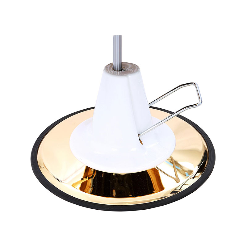 HZ22DG Pompa hidrolik kursi tukang cukur antik dengan dasar emas