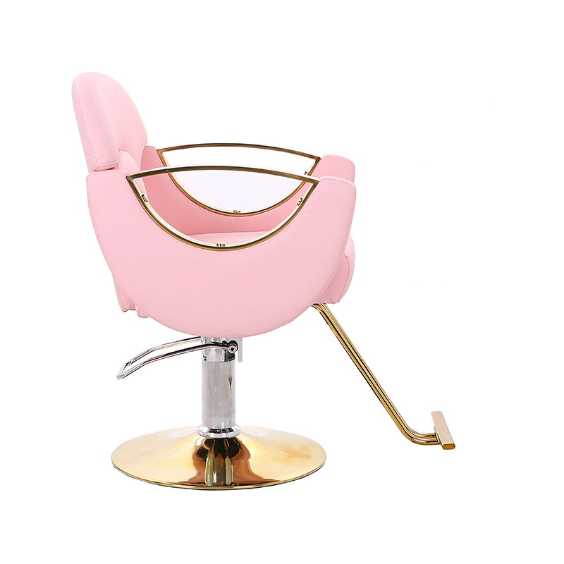 HZ8765BZ / HZ8765WZ / HZ8765PZ / HZ8765Z Kursi salon penata gaya tugas ringan